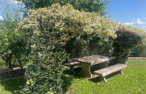 La Palombara - Foto 60