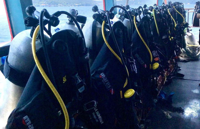 Batismo de mergulho em Koh Tao - Foto 7