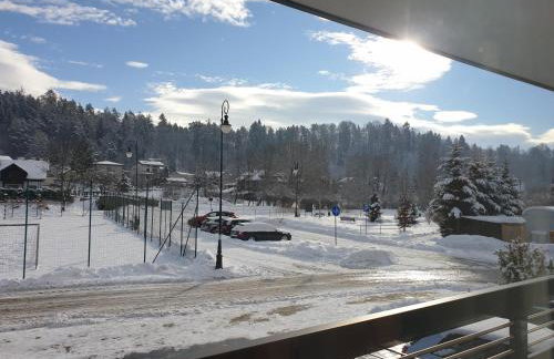 Willa VITA Muszyna - rodzinne apartamenty blisko natury i atrakcji - 15min pieszo do centrum - 15min autem do stoku - Foto 21