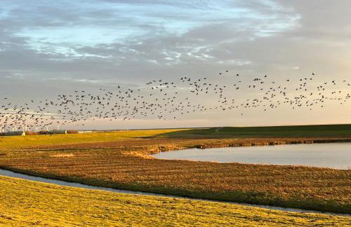 Hyggelig am Deich - Photo 26