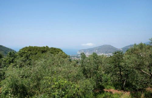 Villetta Sulle Colline Di Sorrento - Foto 33