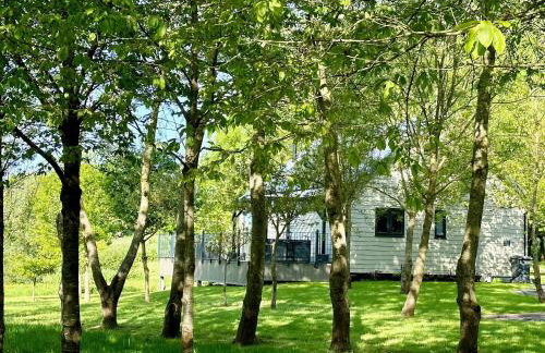 Talltrees - Uk42842 - Foto 24