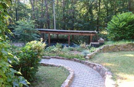 waldhaus lioba - Foto 5