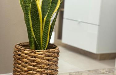 Casa Vittoria - tra Lago Maggiore e centro città - Foto 25