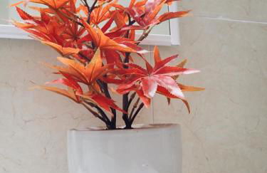 Dreams Apartment Vilafortuny - Photo 29