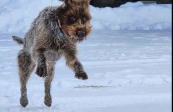 Mountain View Chalet Getaway 5 Min to Town - Foto 20