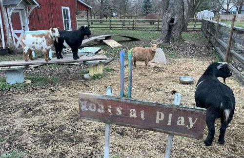 The Goat Farm - Foto 33