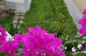 Haraki Mare Studios beach front - Foto 75