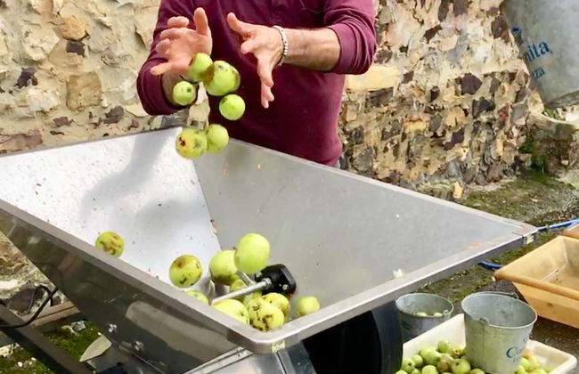 Visita al llagar de sidra del Mirador de Miranda - Photo 7