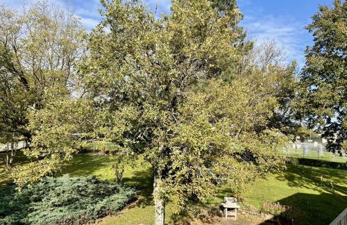 Chez BON ET MONE - Photo 29