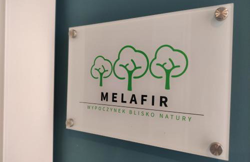 Trzy Małe Drzewka - Foto 32