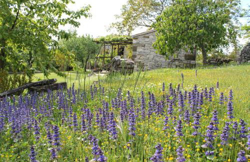 Apartments Mestri - Foto 29