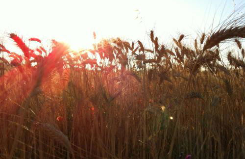 Agriturismo Mele - Foto 30