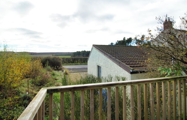 Accessible Bungalow - 4 Beds 2 Baths -dog Friendly - Foto 34