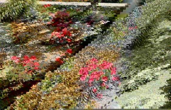 Charming 2 Bedroom Garden Suite Getaway - Photo 37