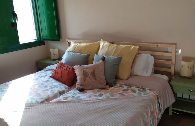 Eco dos Teixos - Foto 4