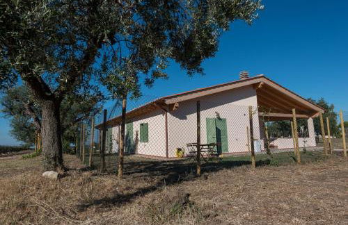 Agriturismo Casale San Benedetto - Foto 6