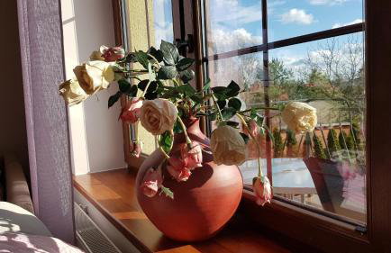 Villa Sole - Foto 31