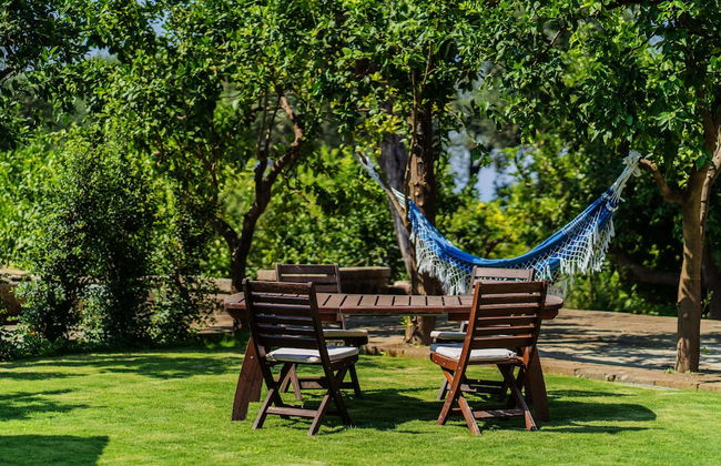 Lemon Factor Sorrento - Photo 73