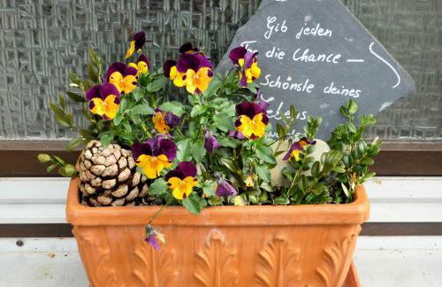 Ferienwohnung Lang am Radweg - Foto 4