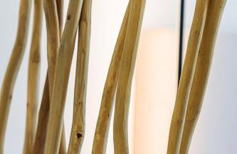 Ecstasea Corfu - Foto 43