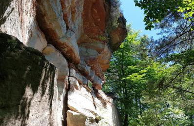 Schöne Ferienwohnung mitten im Pfälzerwaldgebiet - Foto 57