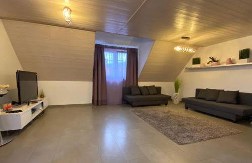 Ferienwohnung Sinsheim - Foto 1