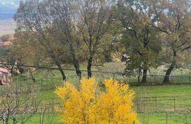 Country Home Genesi 20 min from Trikala - Foto 31