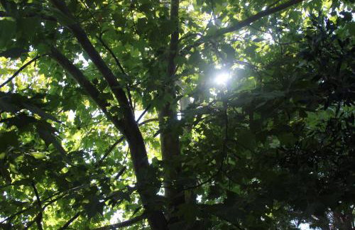 Sea Breeze - Foto 26