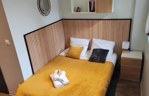 Studio 74 Rénové et Équipé - Nancy CHRU,CESI,FAC - Foto 1