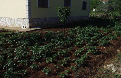 Apartments with parking space Kraj, Pasman - 696 - Photo 8