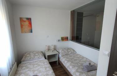 Apartment Vesna Toplice Sveti Martin - Foto 8