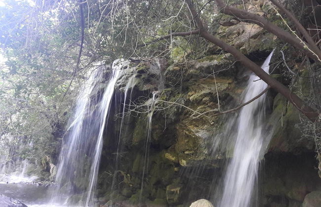 La Maison de Noélie - rez de jardin - Foto 39