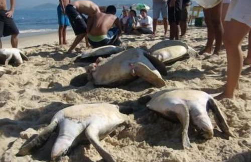 Casa Vista Panorâmica Itaipu - Foto 71