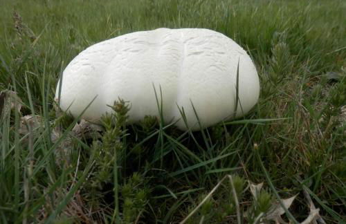 Casa rural La Senderilla - Foto 13