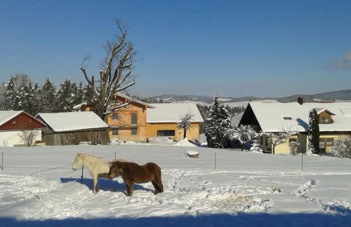 Ponyhof Adam Urlaub auf dem Bauernhof - Foto 31