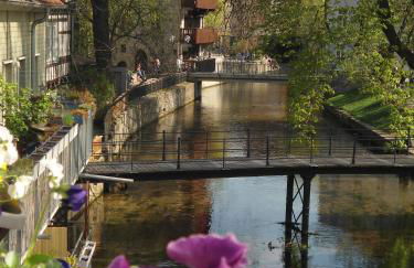 Altstadtapartment an der Krämerbrücke - Foto 17