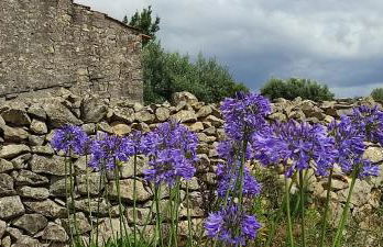 Family 7p Villa 2025 - Foto 54