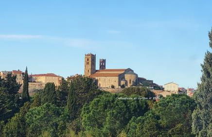 BAMBOU SERENITE ECO LOGIS -Piscine - Foto 40
