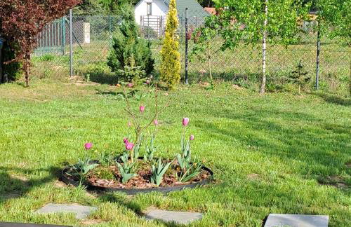 Brzozowe Ostrowie - Foto 11