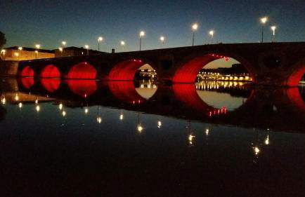 Le meublé toulousain - Foto 15