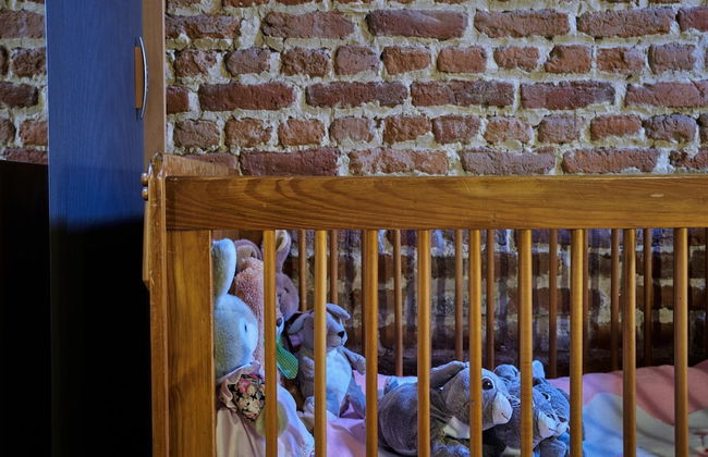 Spacious Apartment near Town Center in Mesch - Photo 49