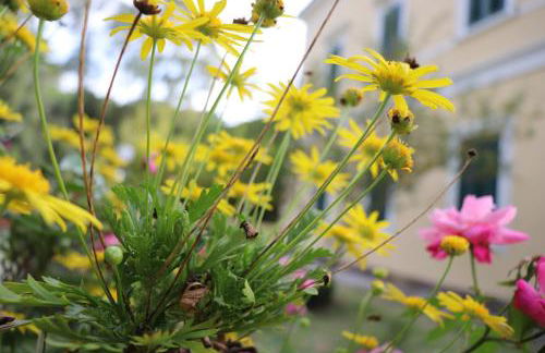 Villa Teresa - Foto 77