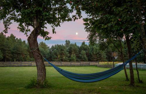Lipowy Zakątek to miejsce bez gospodarzy i na wyłączność - Foto 19