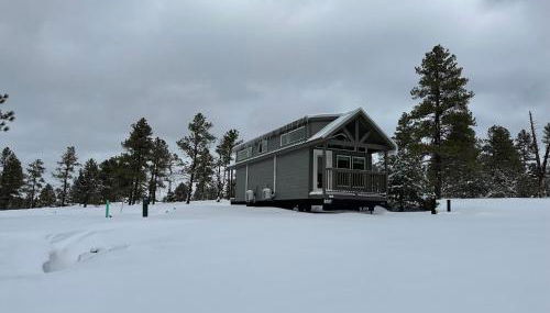 Cozy Cabin By Forest View 4B - Foto 3