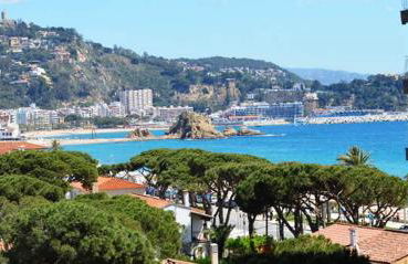 APCOSTAS Villa de Madrid - Photo 73