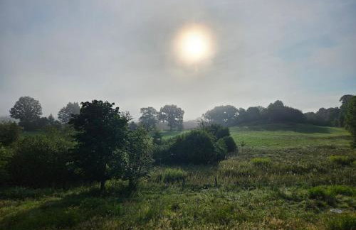 Dzika Warmia- Retreat in the Wild - Foto 31