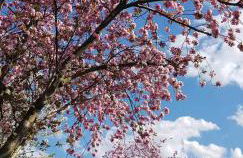 Ferienwohnung Bachstelze mit privater Terrasse - Foto 54