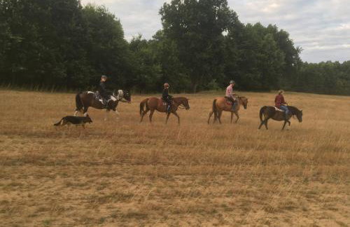 JZ Guest Ranch - Foto 35