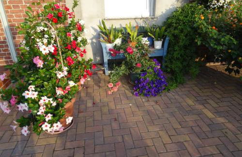 Ferienwohnungen Amselweg - Foto 11